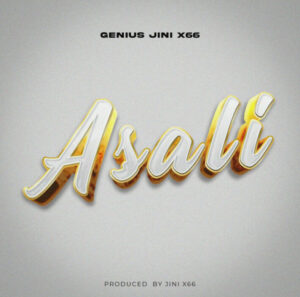 Geniusjini X66 – Asali